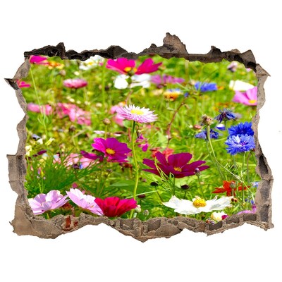 Samolepící nálepka fototapeta Polní květiny
