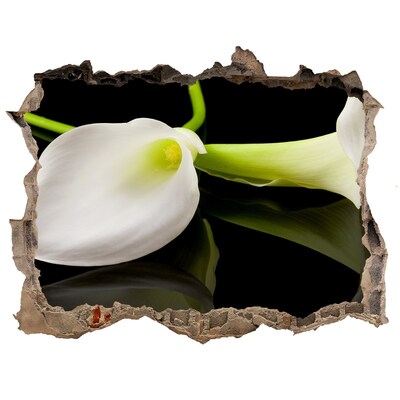 Samolepící nálepka fototapeta Květina v betonu