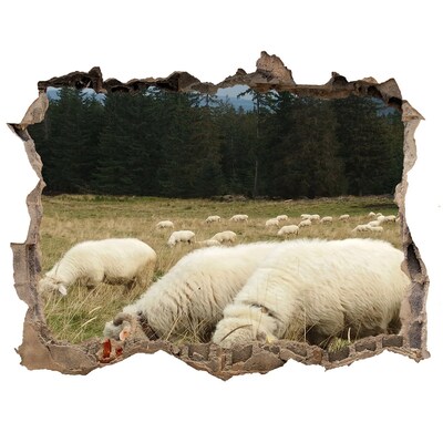 Díra 3D fototapeta nálepka Pasící se ovce