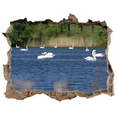 Díra 3D fototapeta nálepka Jezero s labutěmi