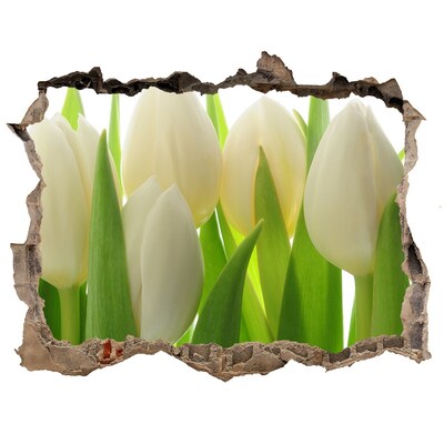 Samolepící nálepka fototapeta Tulipány za denního světla