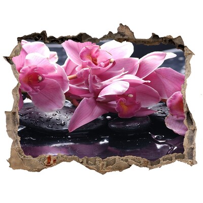 Samolepící nálepka na zeď Růžová orchidej
