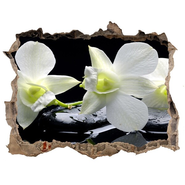 Samolepící nálepka fototapeta Orchidej