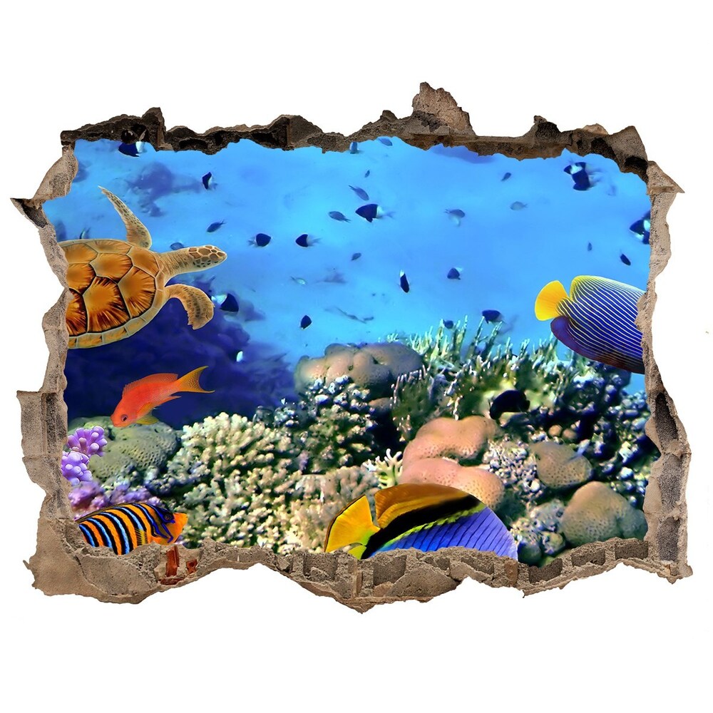 Díra 3D fototapeta nálepka Korálový útes