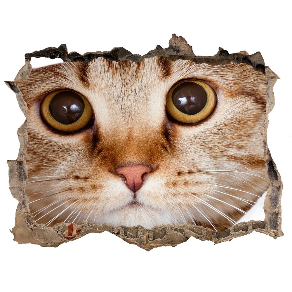 Díra 3D fototapeta nálepka Kočka