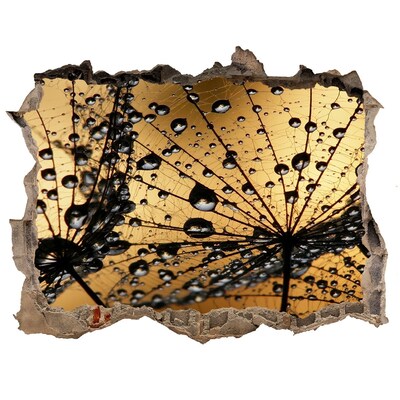 Samolepící nálepka na zeď Kapky na listech