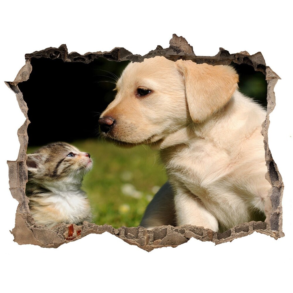 Díra 3D fototapeta nálepka Pes a kočka na louce