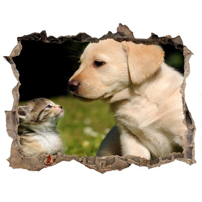 Díra 3D fototapeta nálepka Pes a kočka na louce