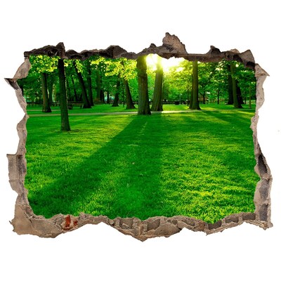 Díra 3D ve zdi nálepka Zelený park na slunci