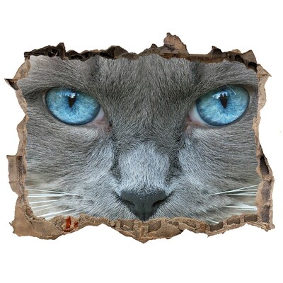 Díra 3D fototapeta na stěnu Koška modré oči