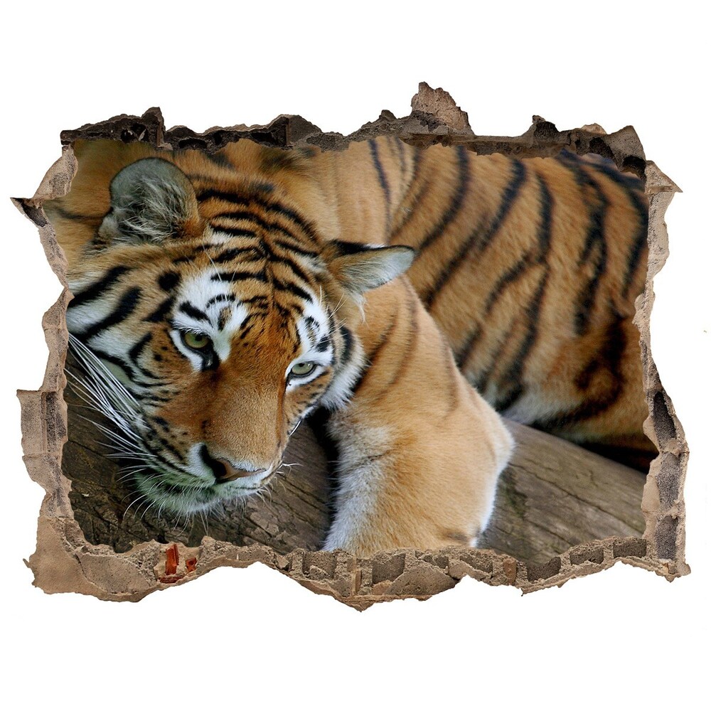 Díra 3D fototapeta nálepka Tygr na stromě