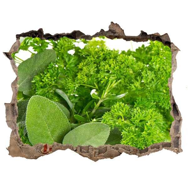 Nálepka 3D díra Zelená oáza v betonu