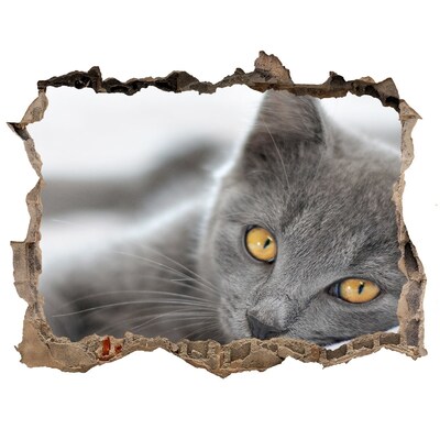 Díra 3D fototapeta nálepka Šedá kočka