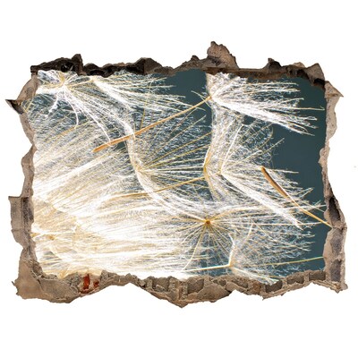 Samolepící nálepka Květinová krajina za dírou