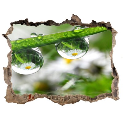 Samolepící díra nálepka Květinová oáza s kapkami vody