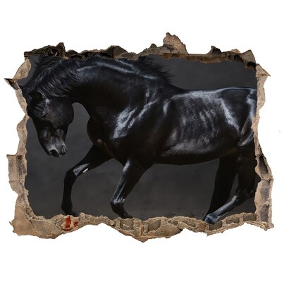Díra 3D fototapeta na stěnu Černý kůň