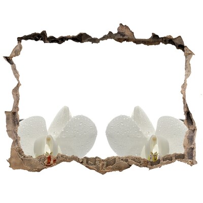 Samolepící díra na stěnu nálepka Květiny v betonu