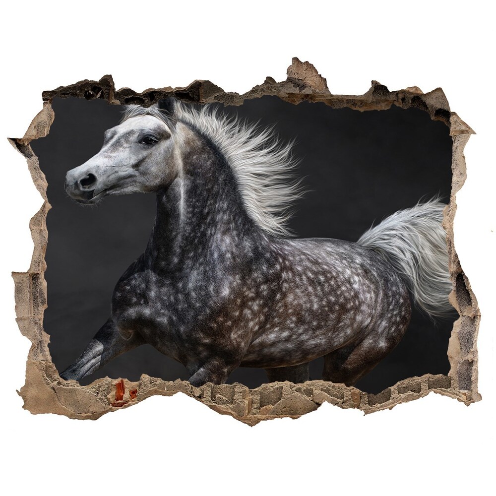 Díra 3D fototapeta na stěnu Šedý arabský kůň