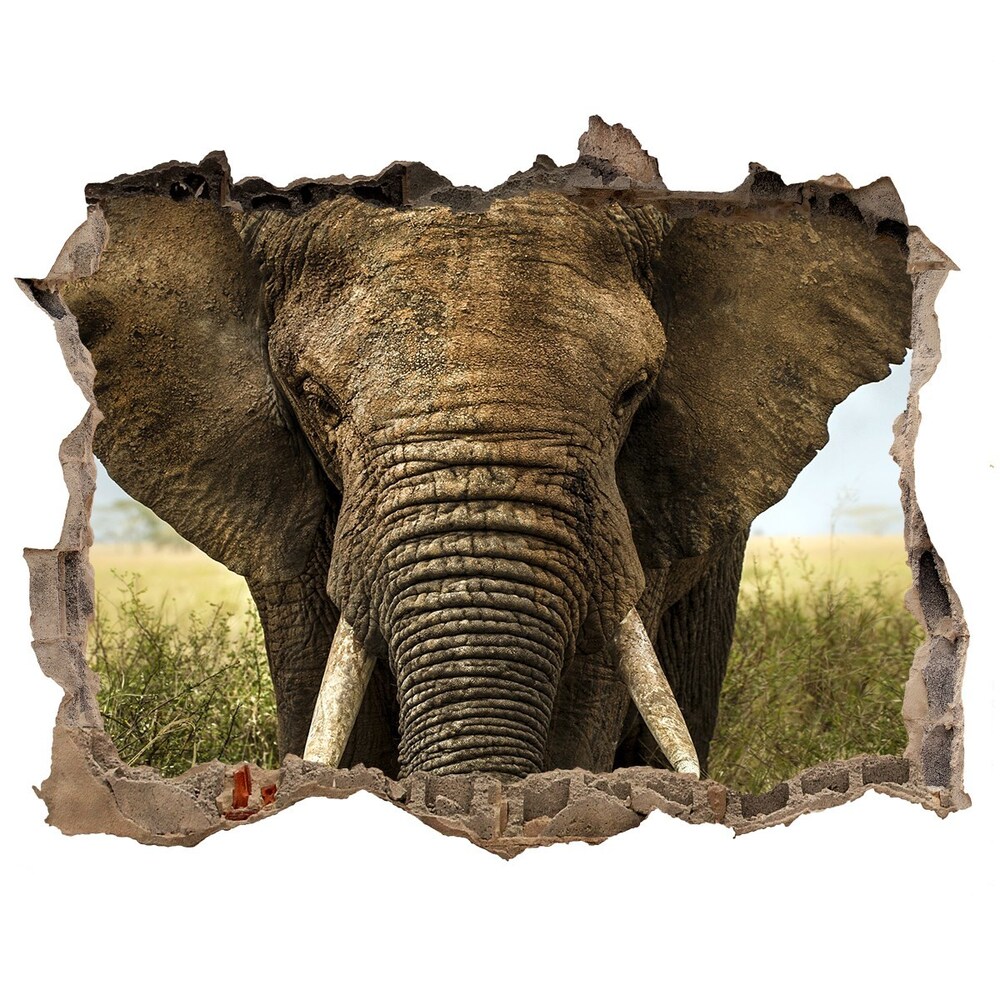 Díra 3D fototapeta na stěnu Sloni na savaně