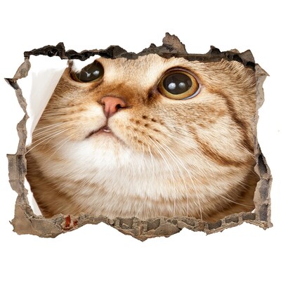 Díra 3D fototapeta na stěnu nálepka Kočka v díře ve zdi