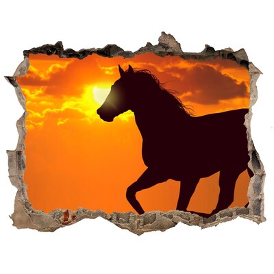 Díra 3D fototapeta na stěnu Kůň západ slunce
