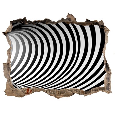 Díra 3D fototapeta nálepka Iluze rotujícího tunelu