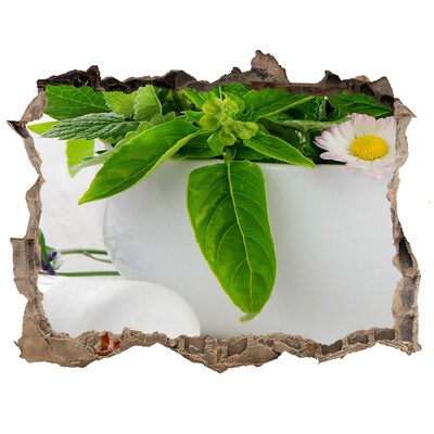 Nálepka 3D díra na zeď Zelená vegetace v poškozené zdi