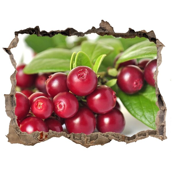 Nálepka 3D díra na zeď Ovocná díra ve zdi