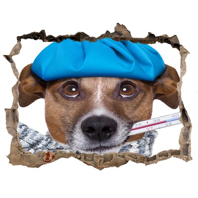 Díra 3D fototapeta na stěnu Nemocný pes