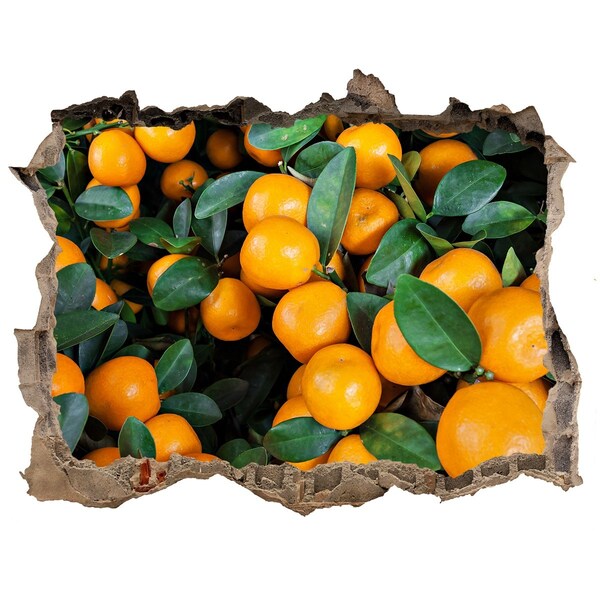 Nálepka 3D díra beton Ovoce v pomerančové zahradě