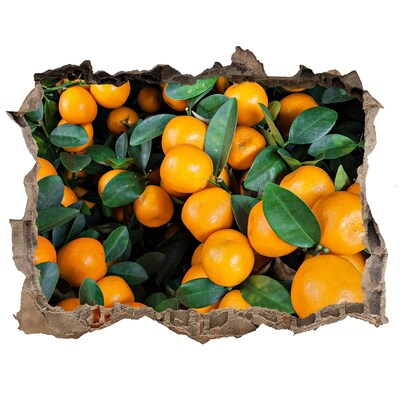 Nálepka 3D díra beton Ovoce v pomerančové zahradě