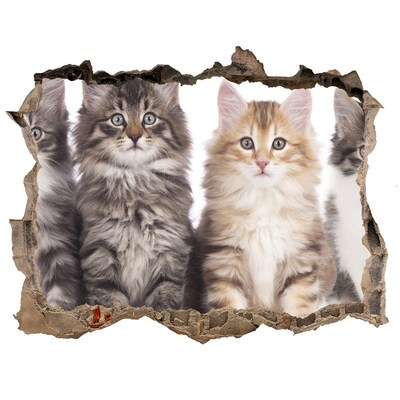 Díra 3D fototapeta nálepka Šest koček