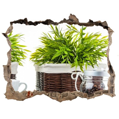 Nálepka 3D díra na zeď Zelená oáza v pohodlí vašeho domova