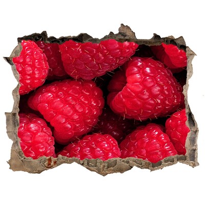 Nálepka 3D díra na zeď Maliny v betonu