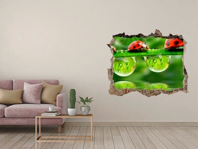 Díra 3D fototapeta na stěnu Kapka přírody s beruškou