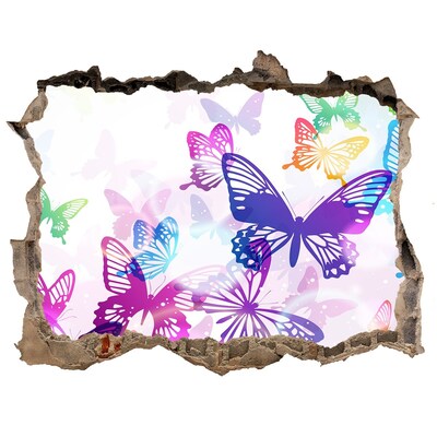 Díra 3D fototapeta na stěnu Barevní motýli