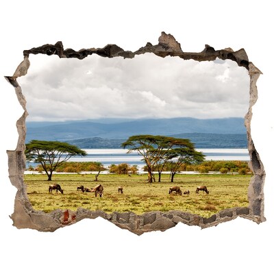 Nálepka fototapeta 3D výhled Jezero Naivasha