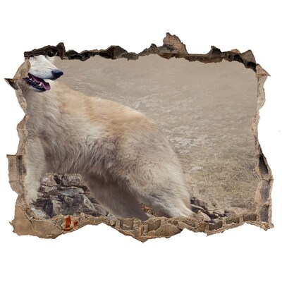 Díra 3D fototapeta na stěnu Bílý vlk na skále