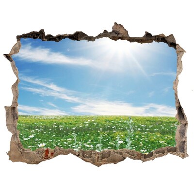 Nálepka fototapeta 3D výhled beton Květinová louka pod modrou oblohou