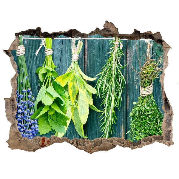 Nálepka 3D díra Bylinková zahrádka v kuchyni