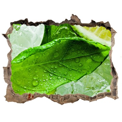 Nálepka 3D díra na zeď Čerstvé lístky máty na ledu