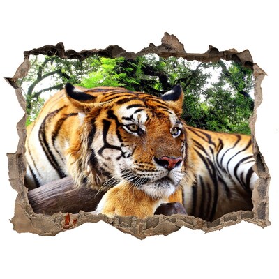 Díra 3D fototapeta na stěnu Tygr na skále