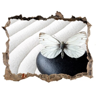 Díra 3D fototapeta nálepka Kámen zen a motýl