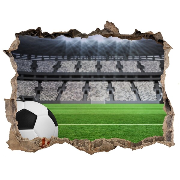 Fototapeta díra na zeď 3D Fotbalový stadion s míčem