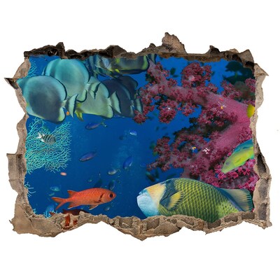 Díra 3D fototapeta na stěnu Korálový útes