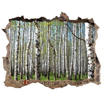 Nálepka fototapeta 3D výhled Břízový les