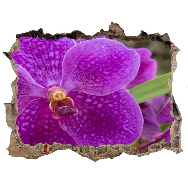 Samolepící díra nálepka Orchidej