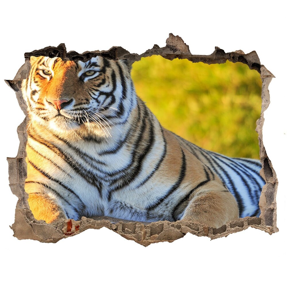 Díra 3D fototapeta nálepka Portrét tygra