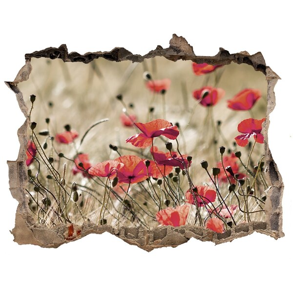 Samolepící díra nálepka beton Květinový ráj mezi betonem