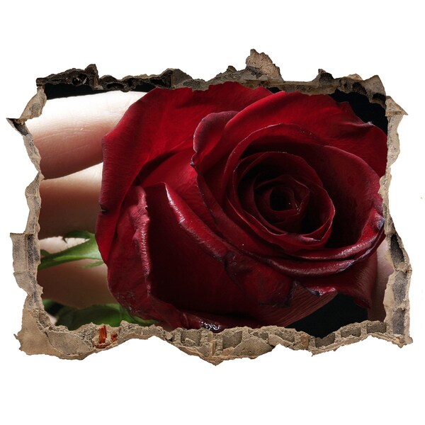 Fotoobraz díra na stěnu Růže v rozpadlé zdi
